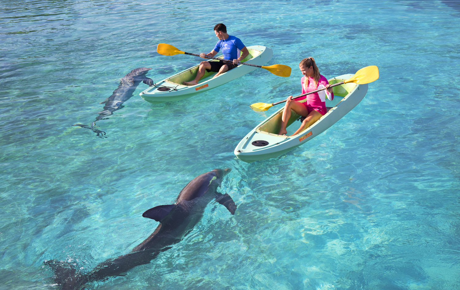 Atlantis Paradise Island Resort Bahamas