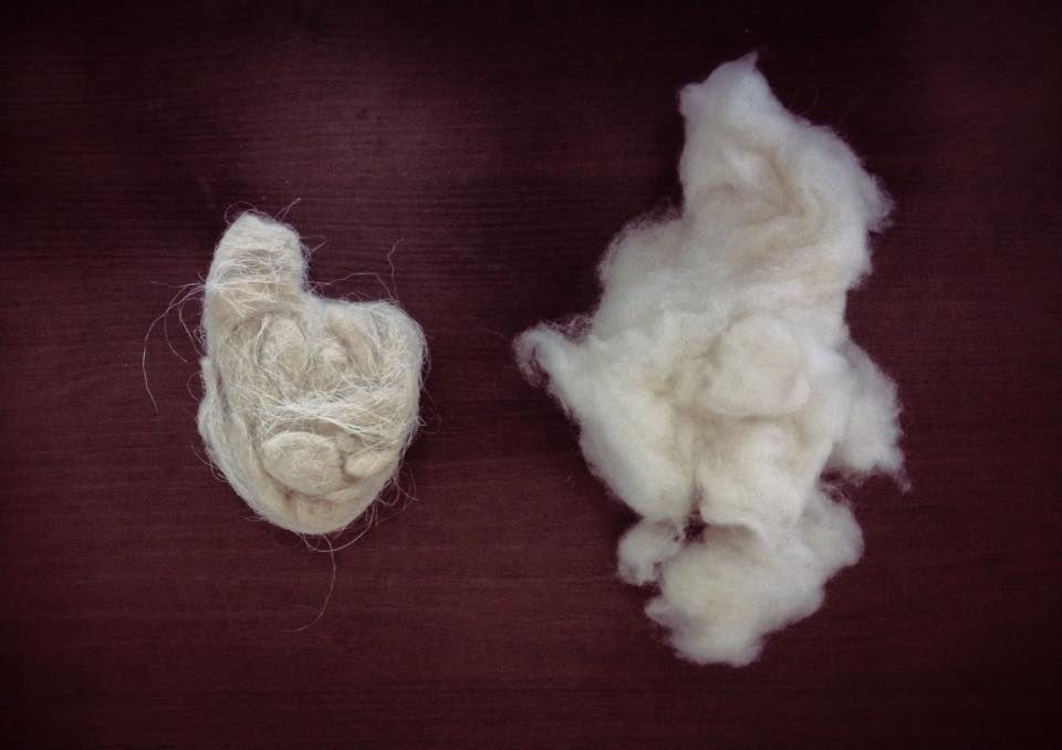 Cashmere