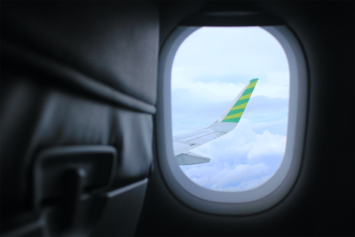 flying with antibodies