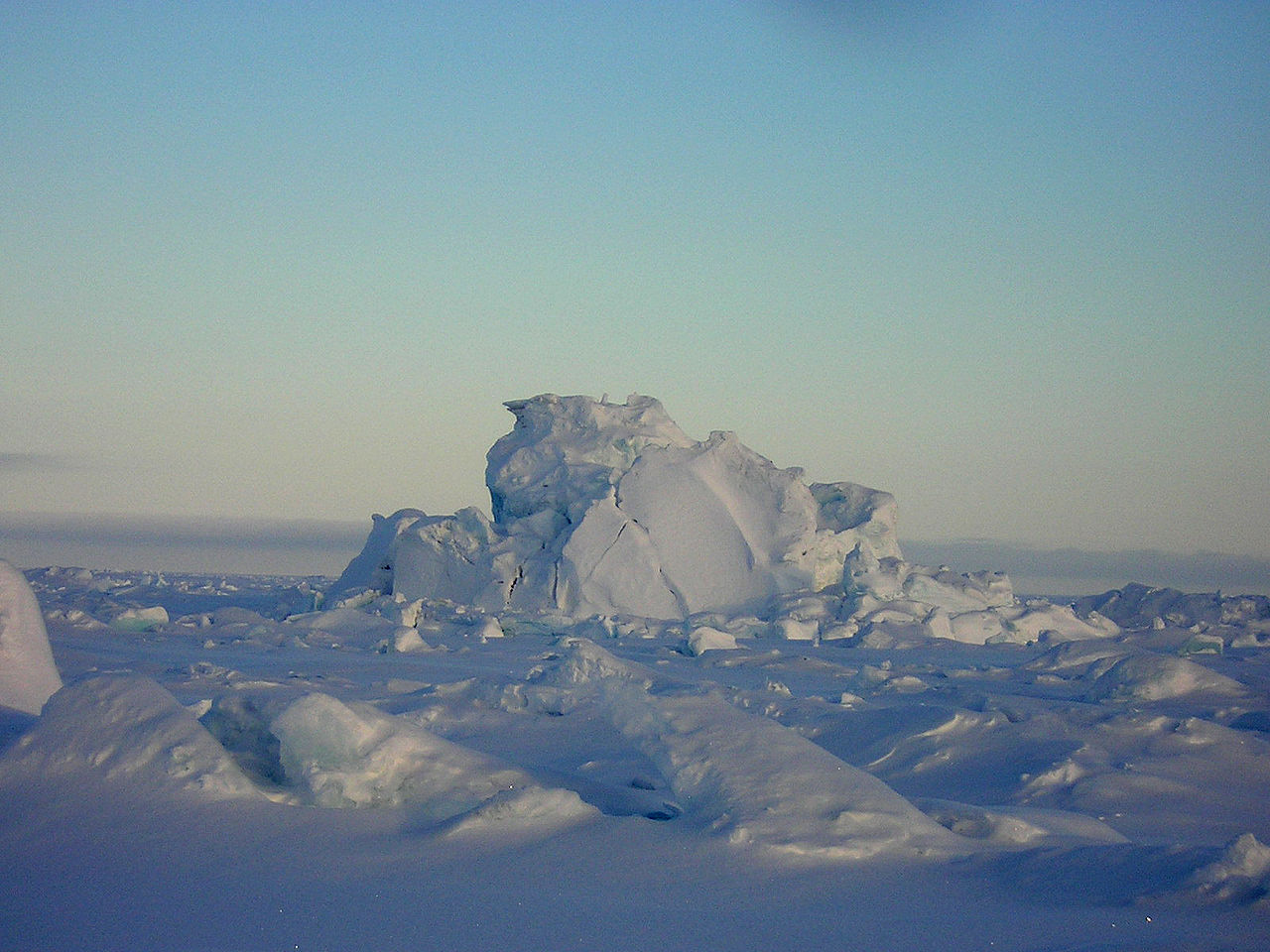 The Arctic