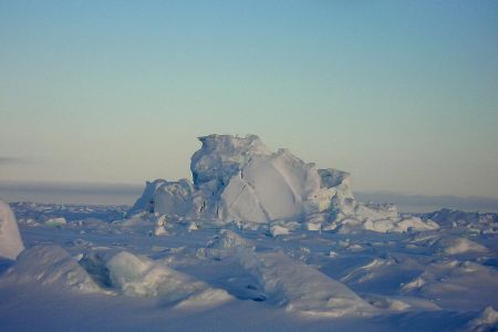 The Arctic