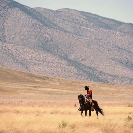 Man riding horse in landscape