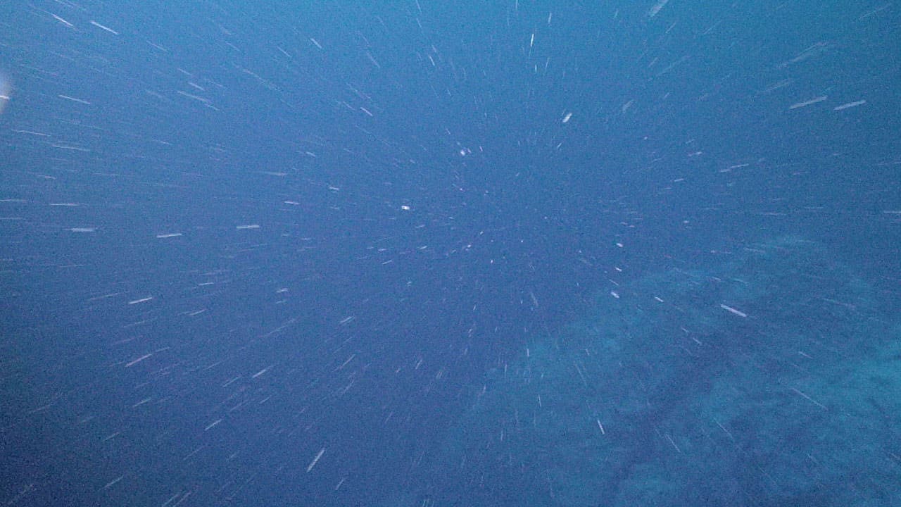 Marine snow
