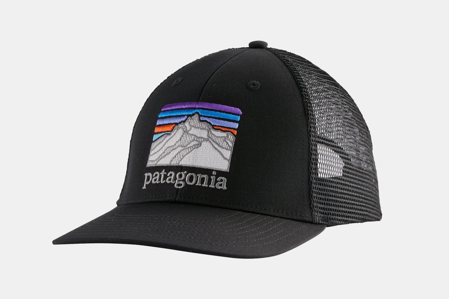 Patagonia trucker hat