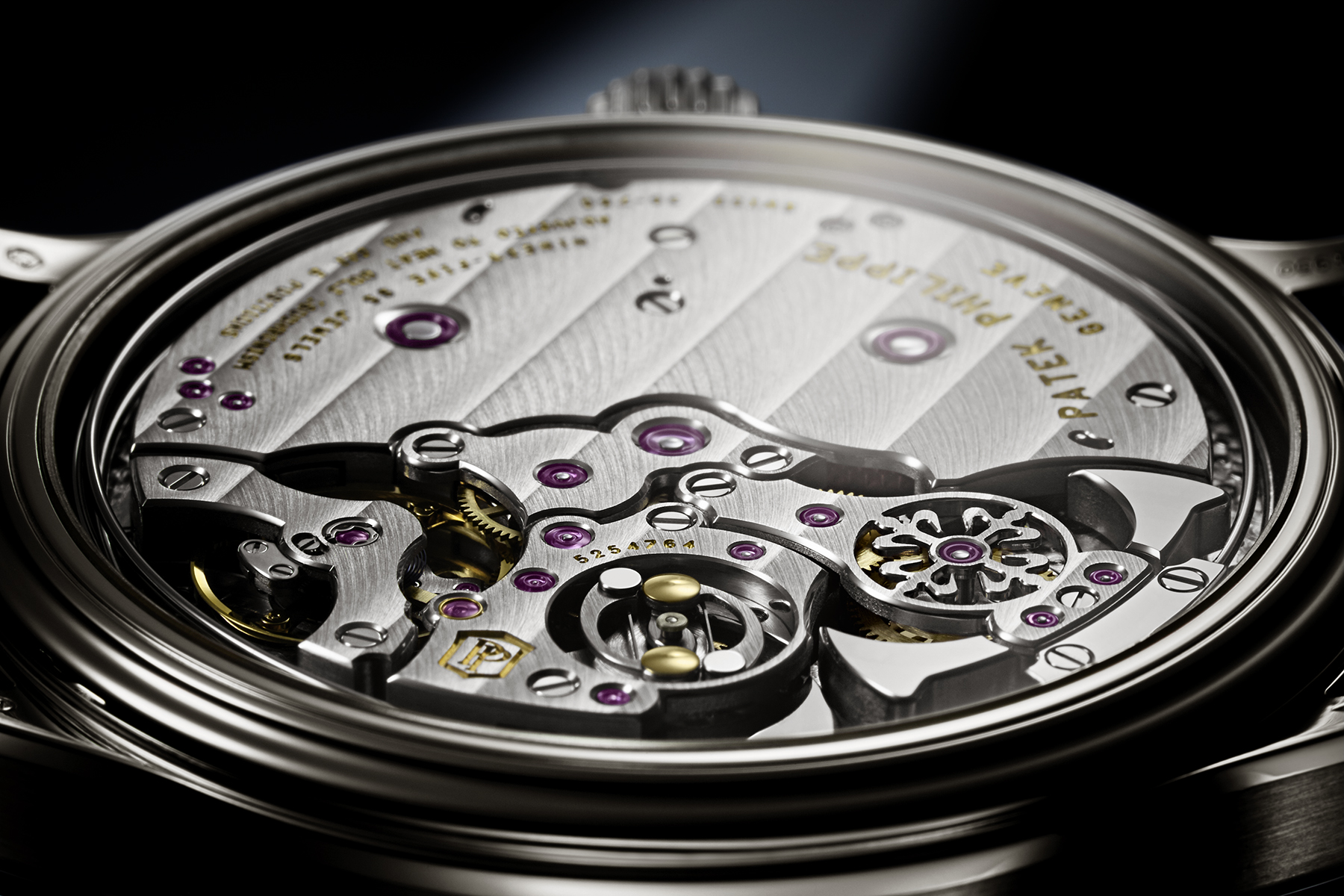 patek philippe 6301p