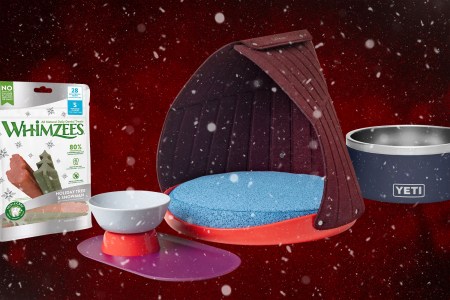 The 15 Best Gifts for Your Pets