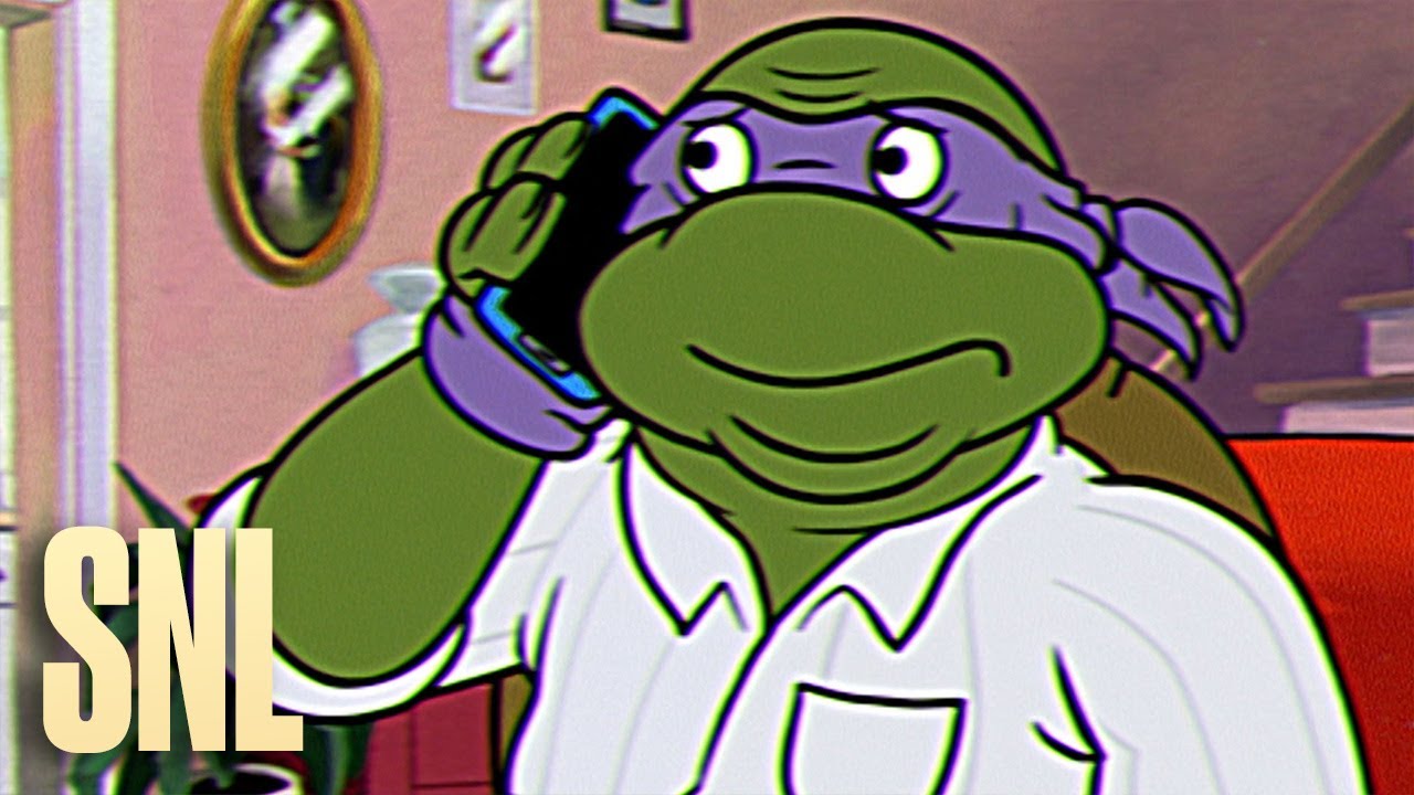 SNL Turtles