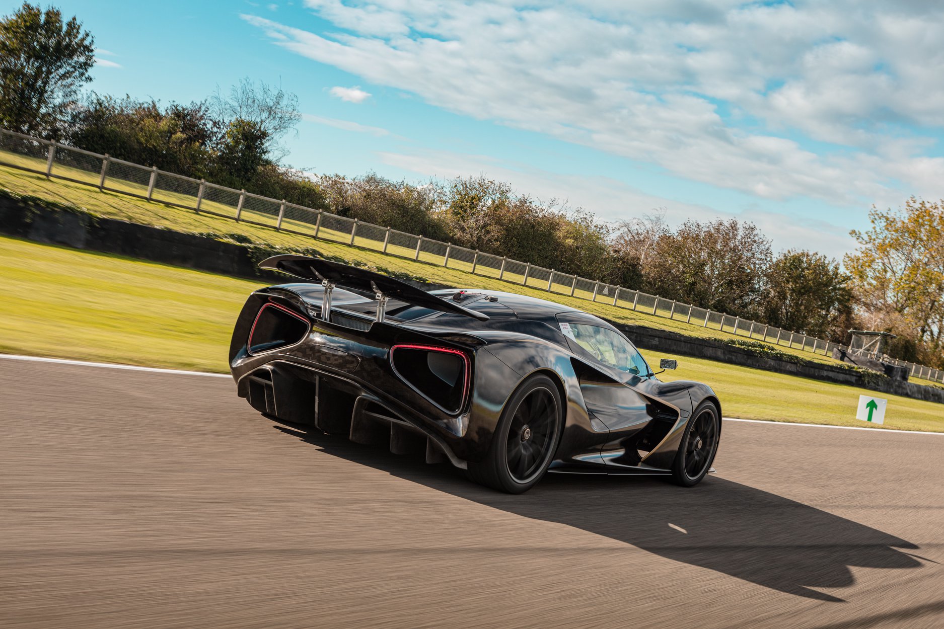 A Lotus in motion