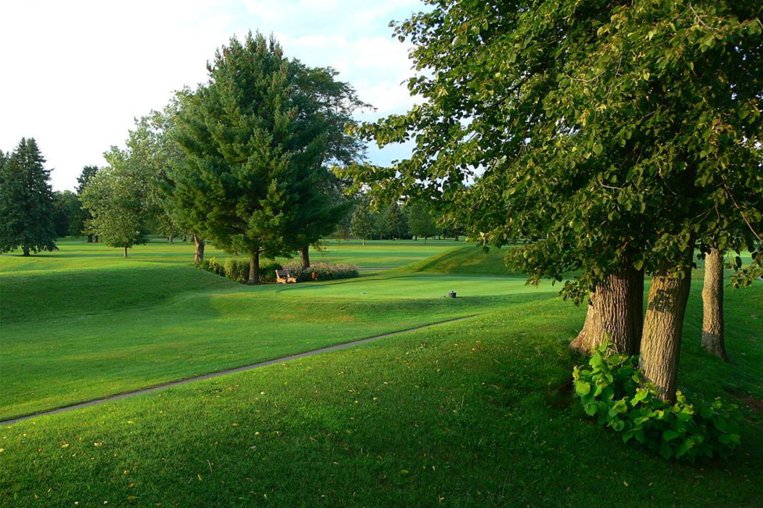 Octagon Earthworks in Newark, Ohio