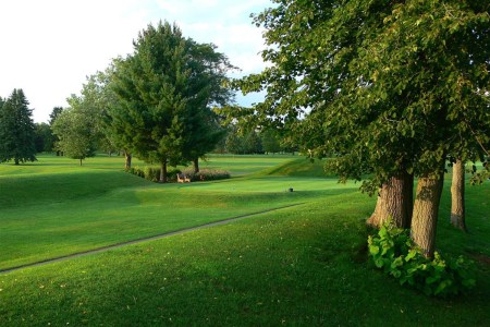 Octagon Earthworks in Newark, Ohio