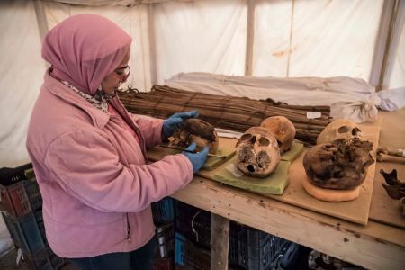 Archaeologist in Egypt