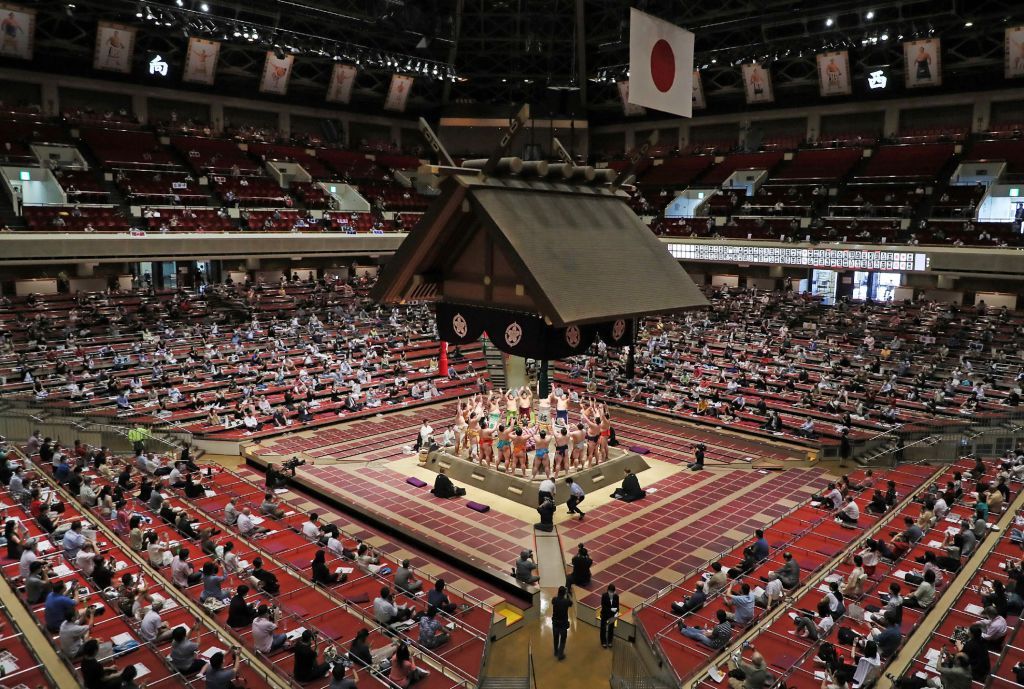Sumo wrestling