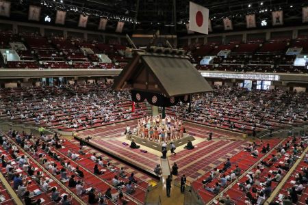 Sumo wrestling