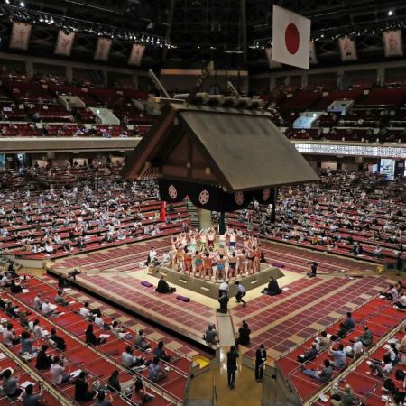 Sumo wrestling