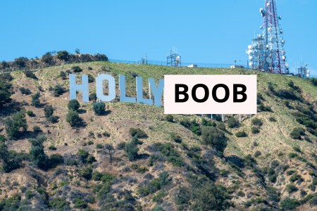 hollyboob