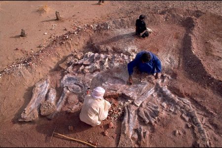 Sahara :The Valley Of Dinosaurs In Niamey, Niger In December, 2000.