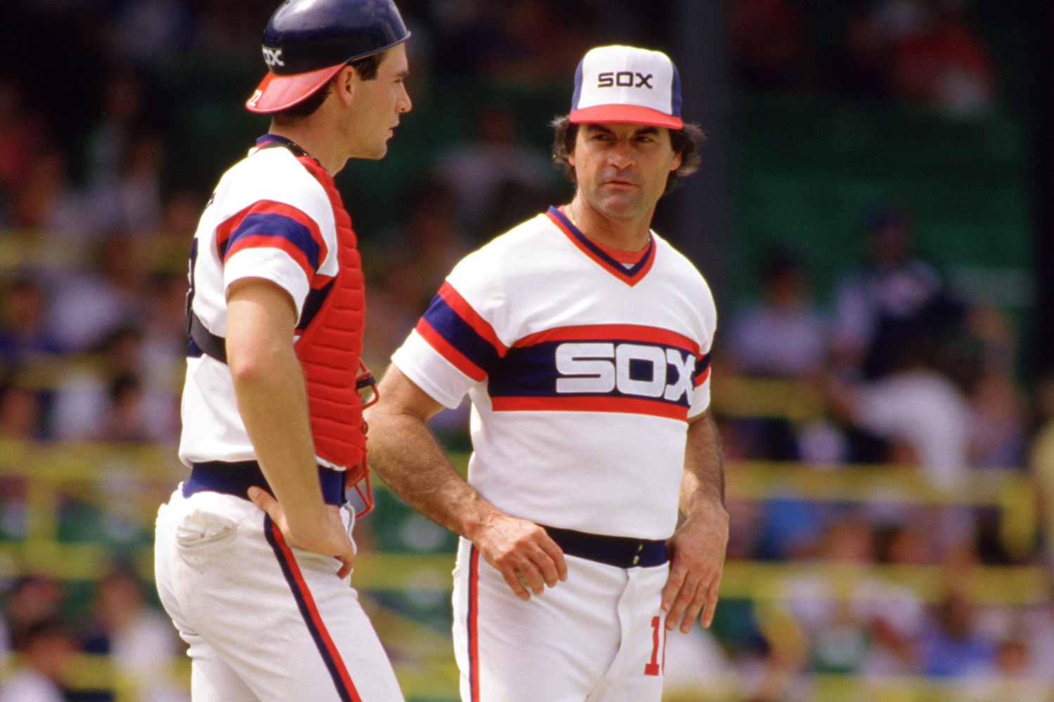 Manager Tony LaRussa of the Chicago White Sox looks on during an MLB game at Comiskey Park in Chicago, Illinois during the 1986 season