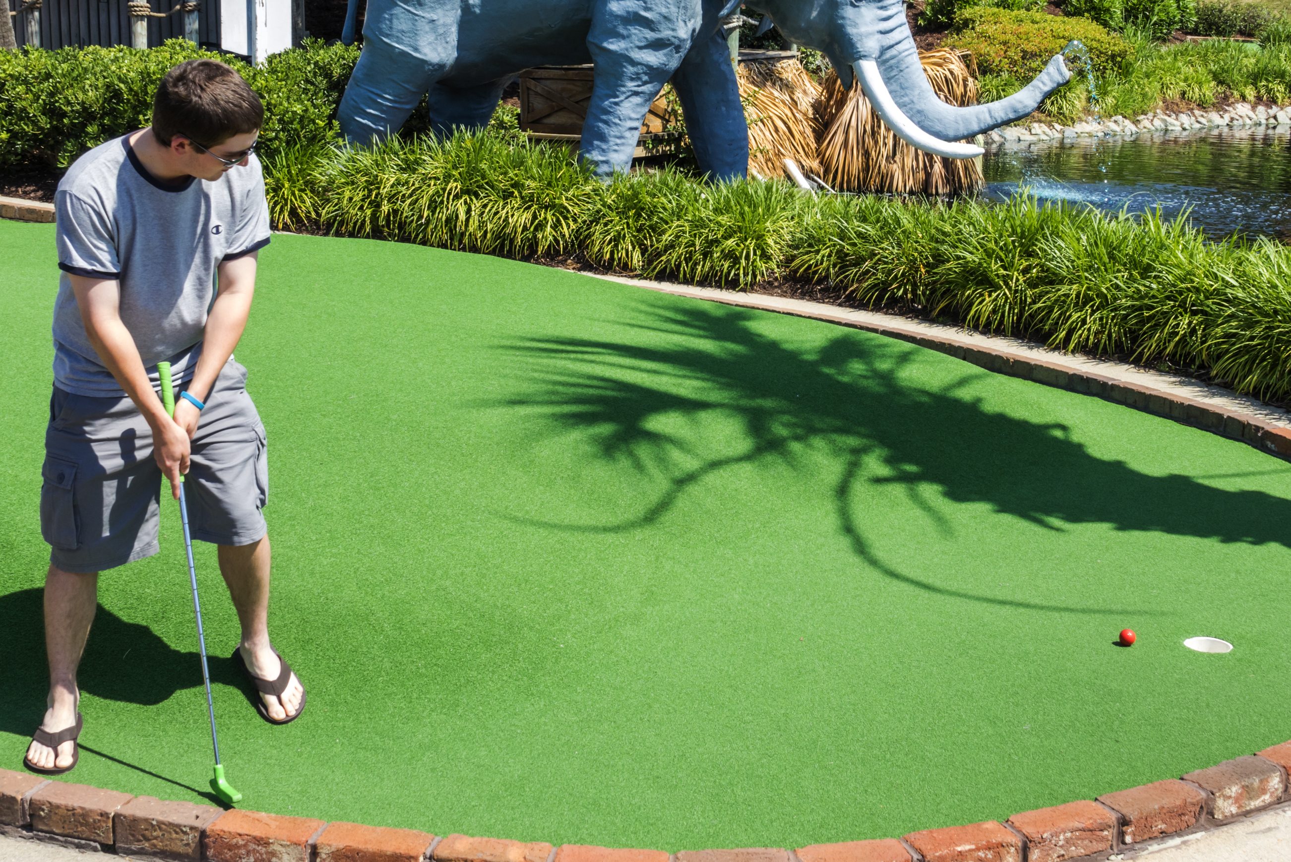 Jungle Safari Golf in South Carolina