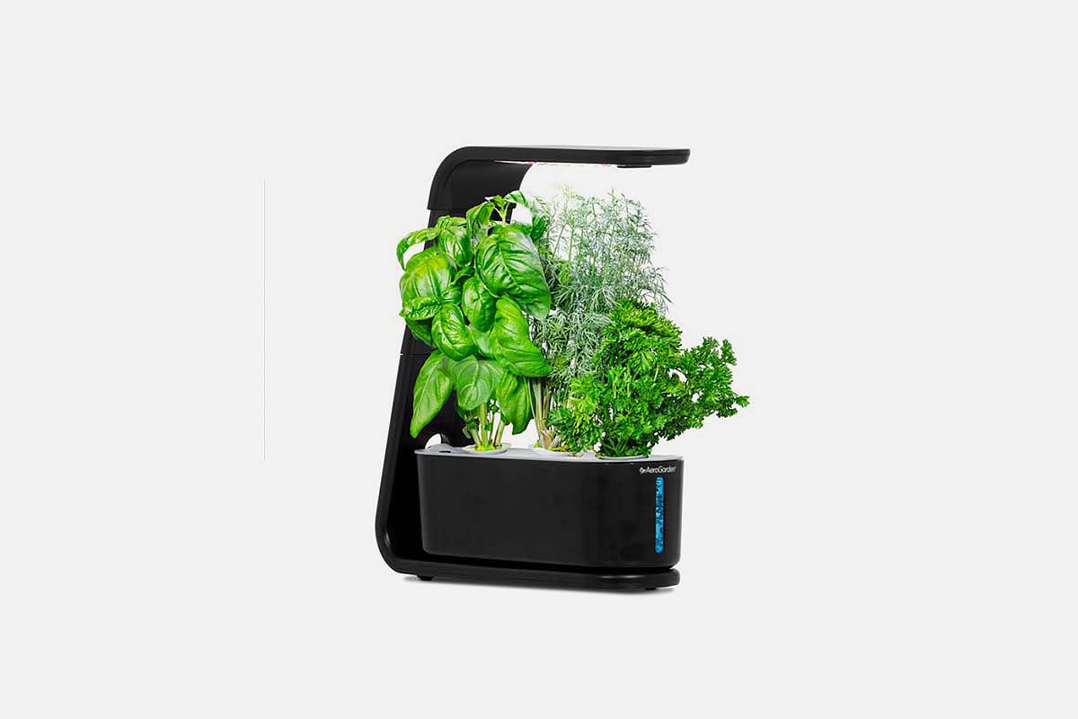 AeroGarden Sprout