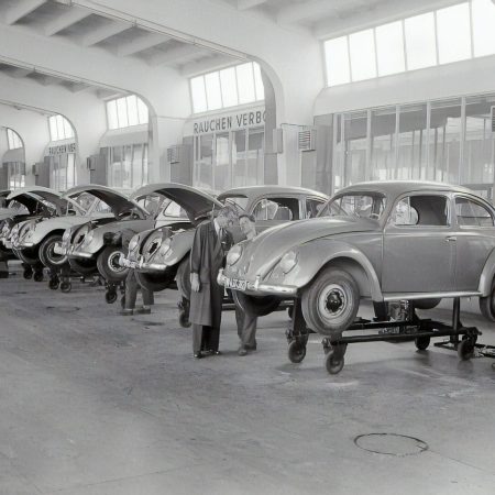 Beetles