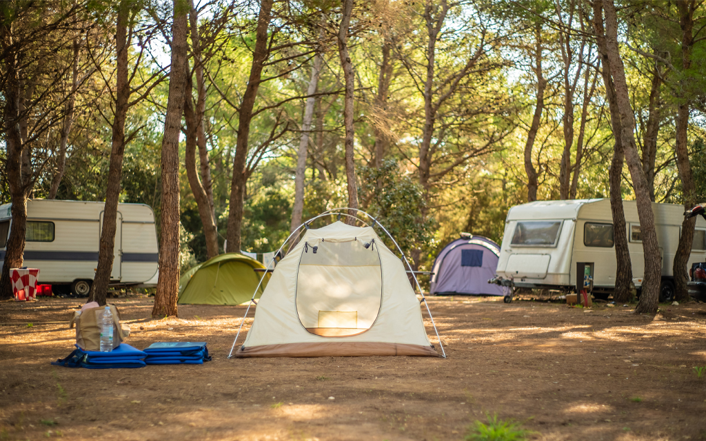 A Beginner's Guide to Camping