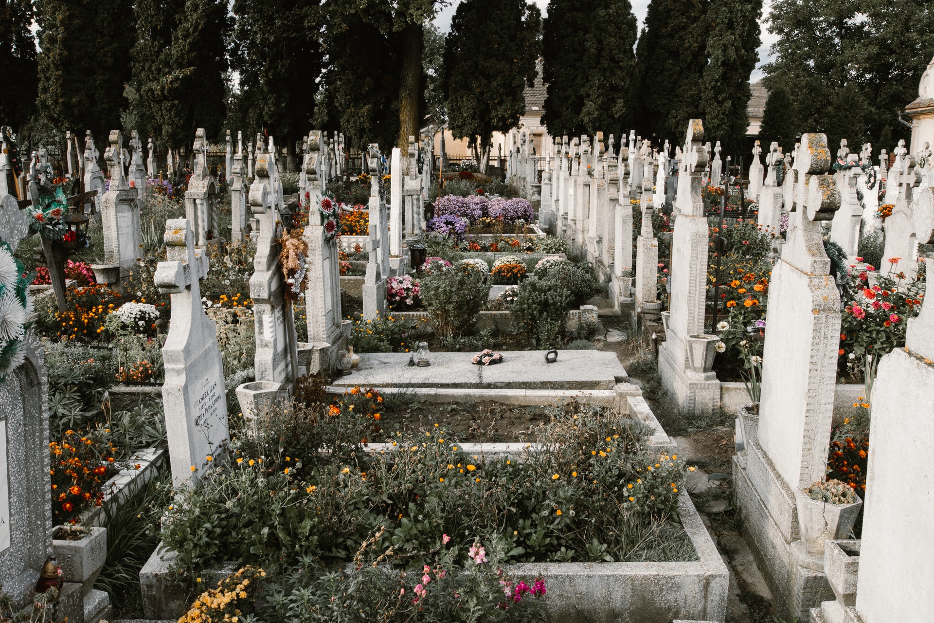 Graves