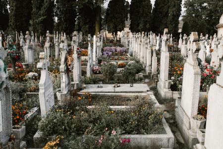Graves