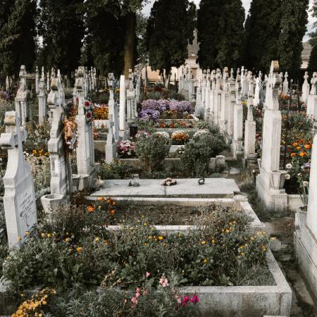 Graves