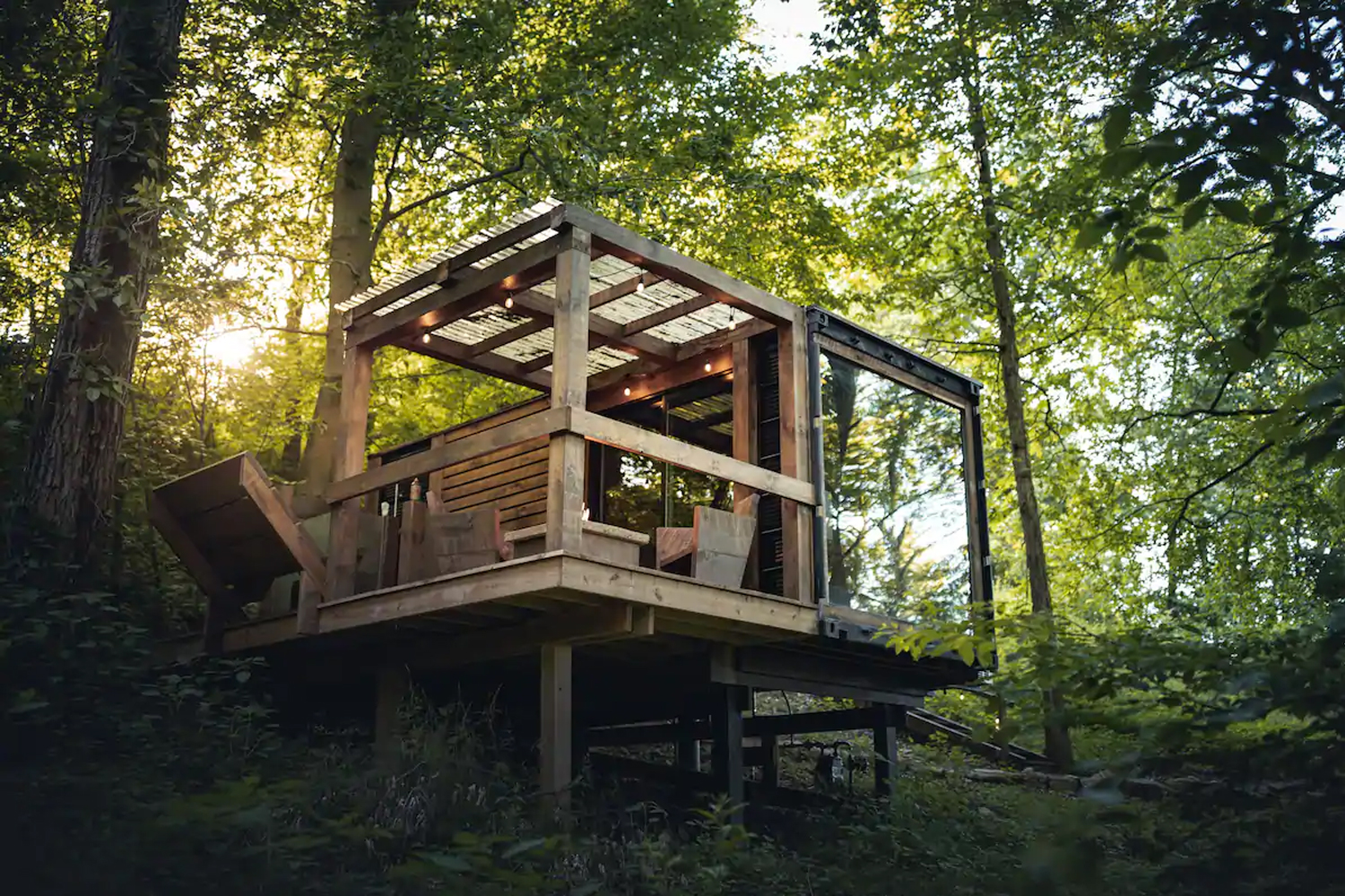 A Forest Haven
