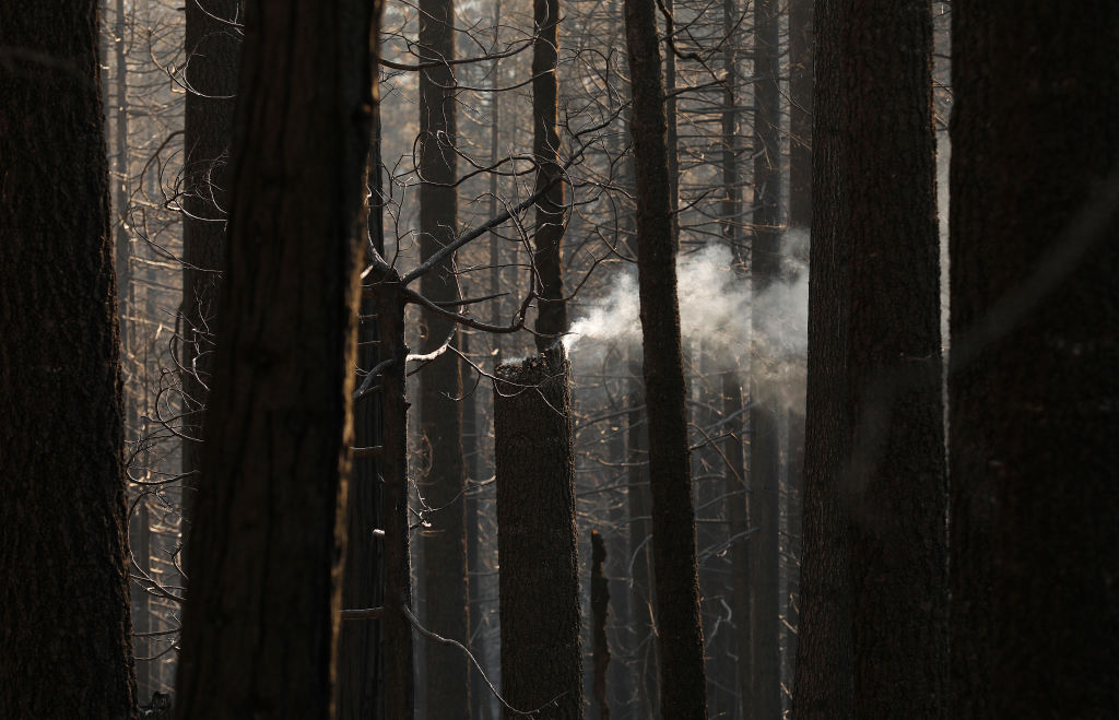 Aftermath of fire