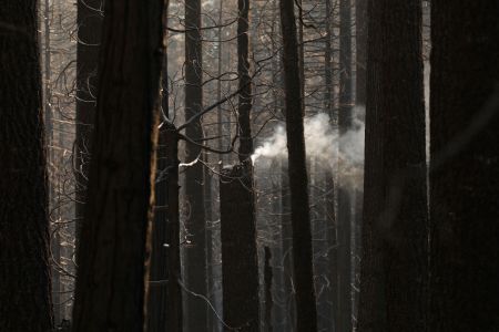 Aftermath of fire