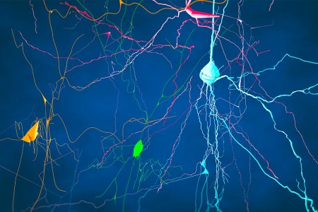 otc dopamine