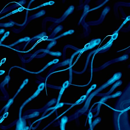blue sperm on dark background