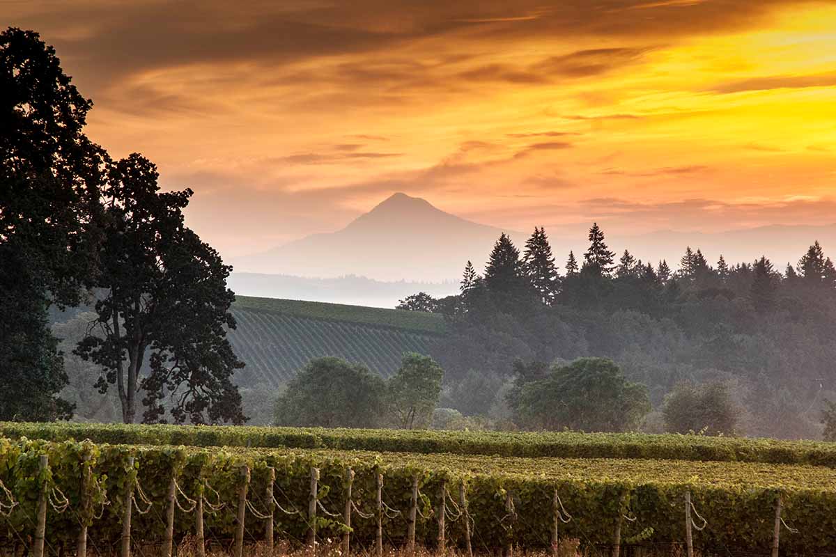 Mount Hood in Oregon at sunset