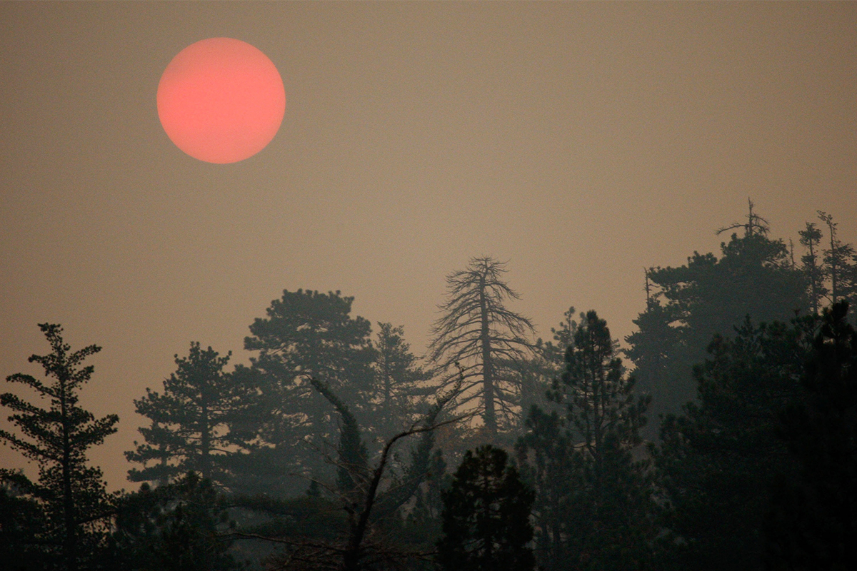 wildfire sun