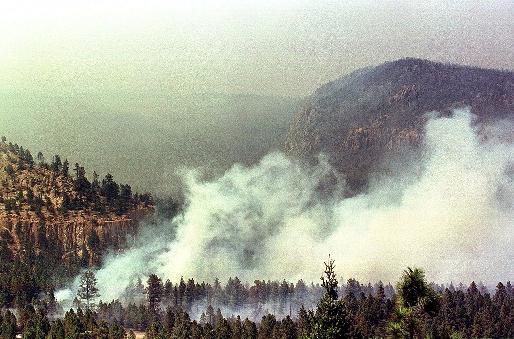 Wildfires