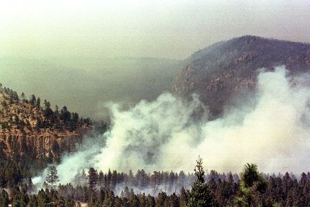 Wildfires