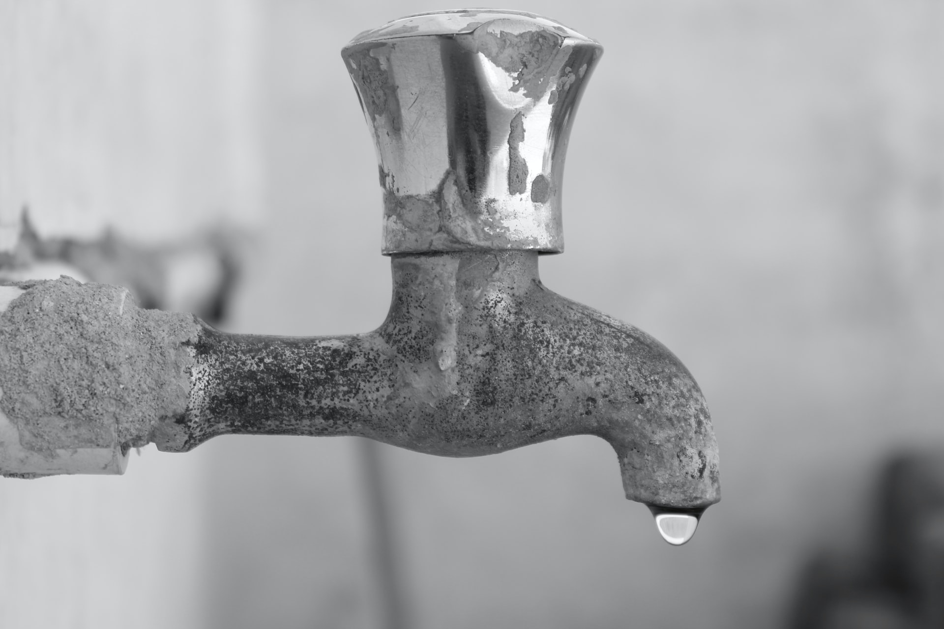 Water