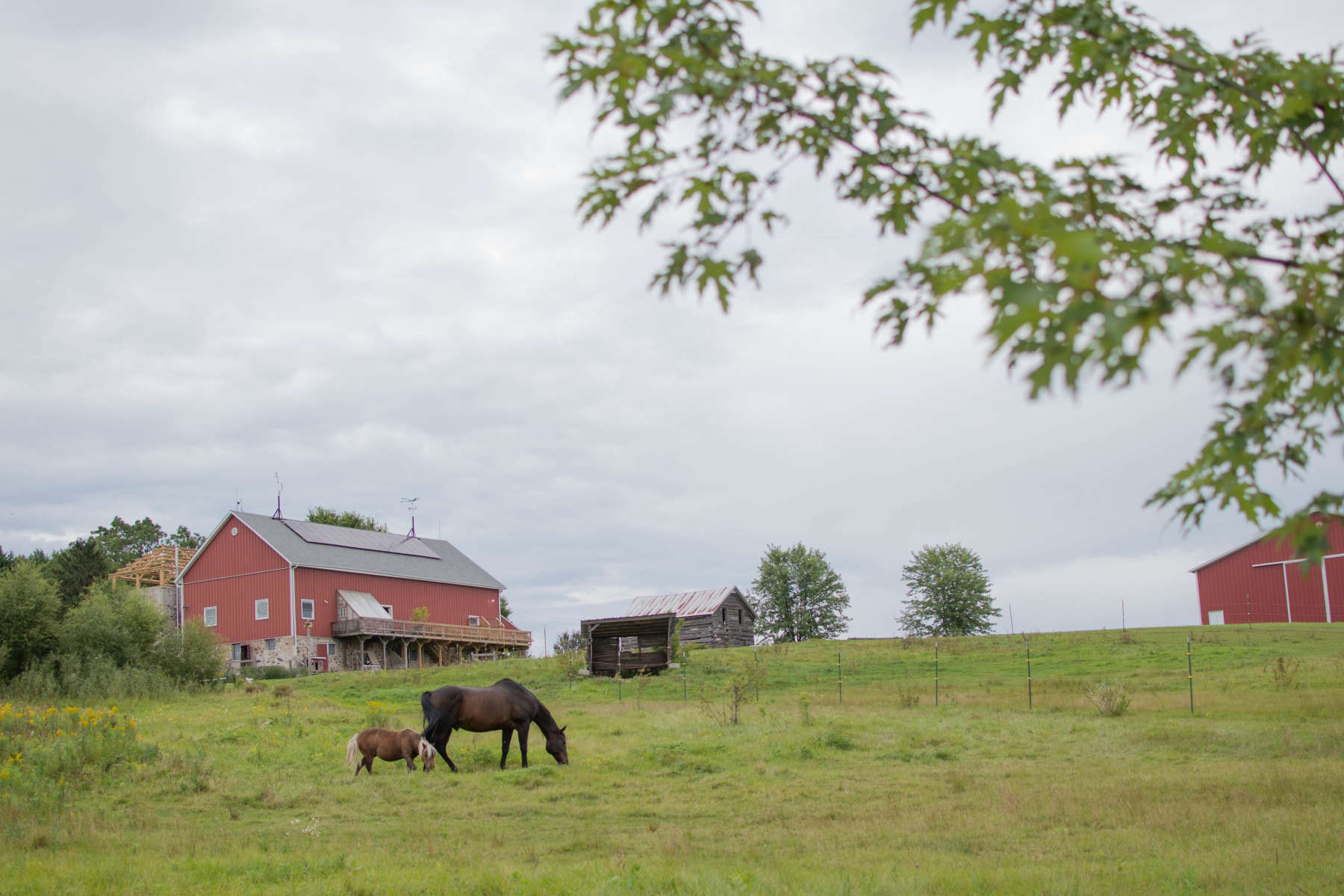 In addition to being a nudist retreat, Toadally Natural is also a fully functioning farm