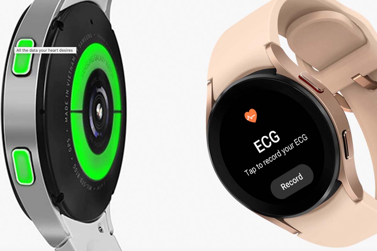 health monitors on the Samsung Galaxy Watch4