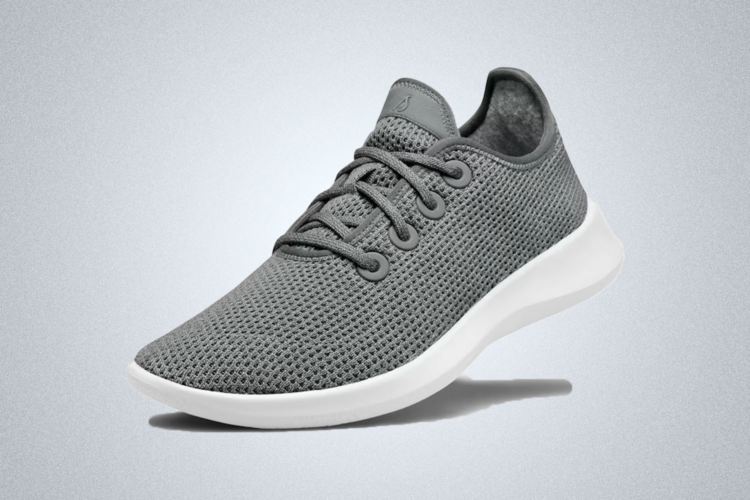 For the Comfort-Forward Freak: Allbirds Tree Runners