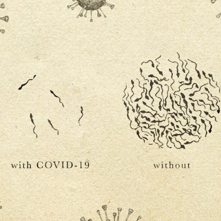 A diagram of sperm under a microscope. On the left: a small amount of sperm with the label "with COVID-19. On the right: a lot of sperm with the label "without."