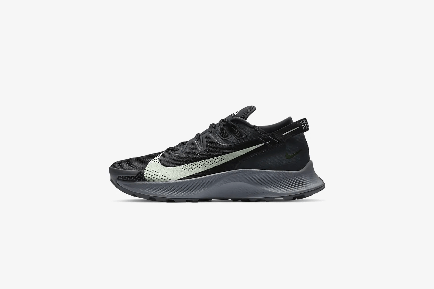 Nike Pegasus Trail 2