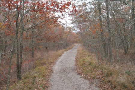 Southampton trail