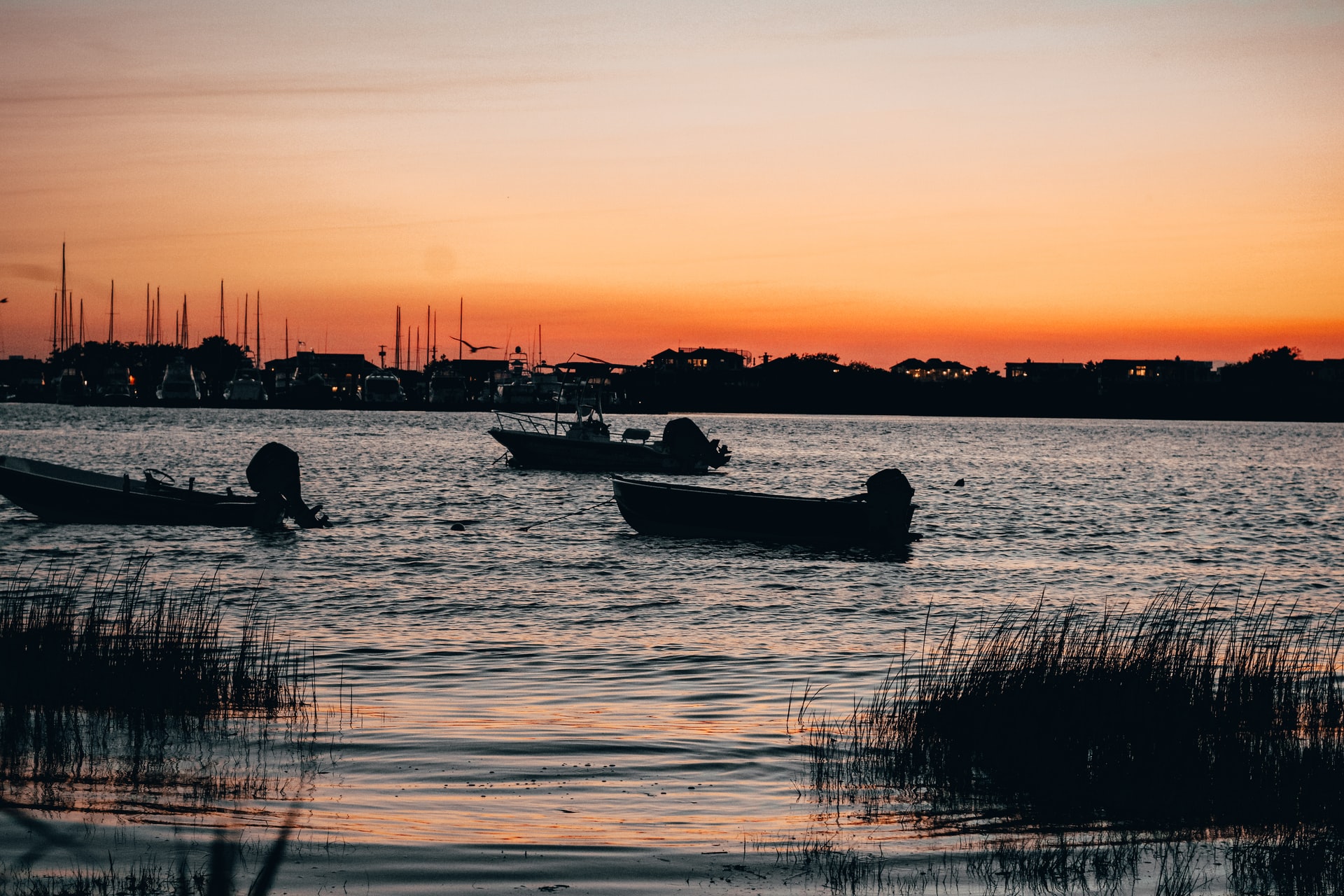 Waterfront homes