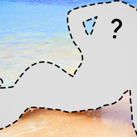 Cut-out image of bikini model on a beach.
