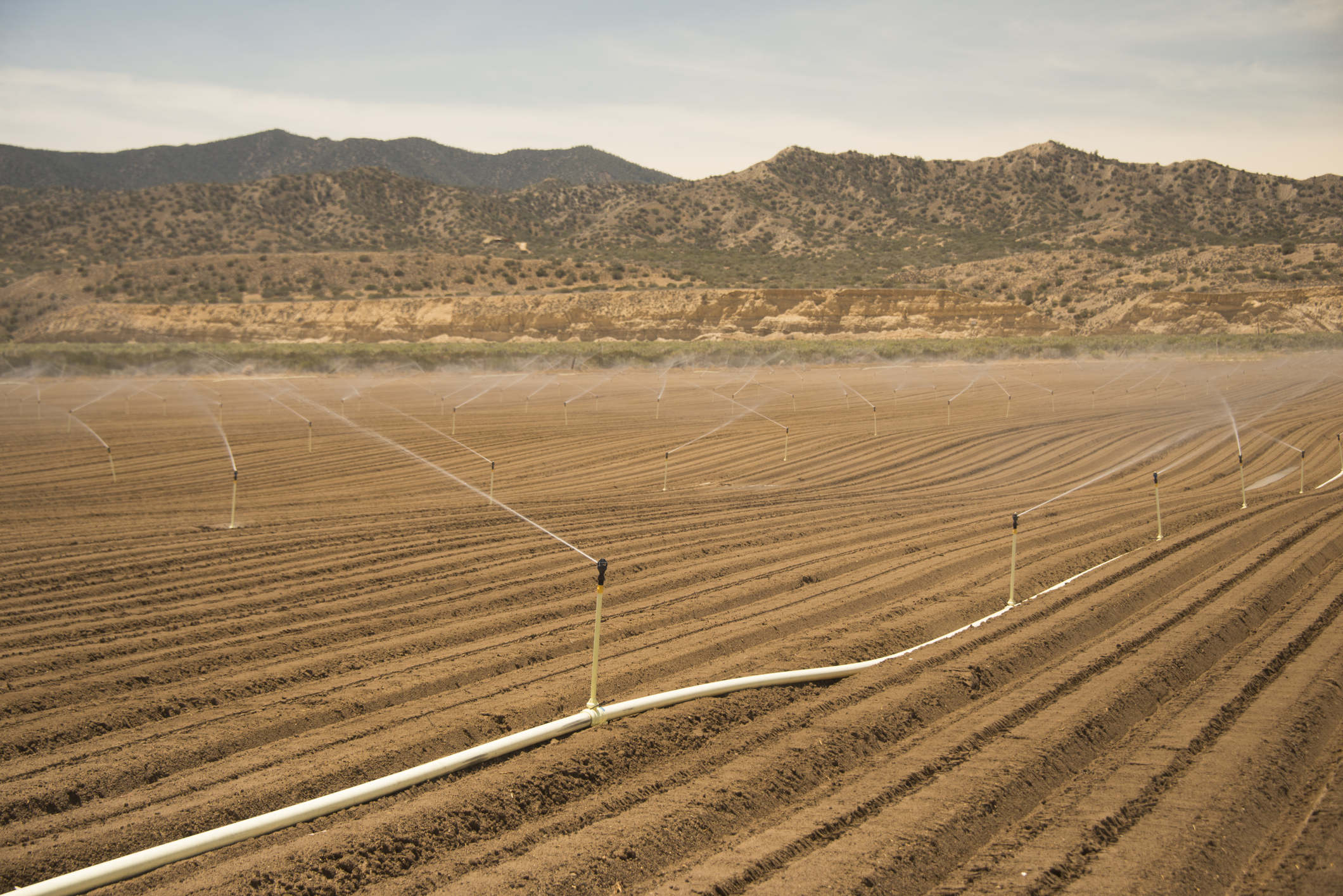 California Drought
