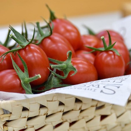 The Sicilian Rouge High GABA tomato, a CRISPR gene-edited food now on sale