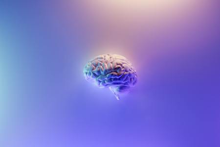 A brain