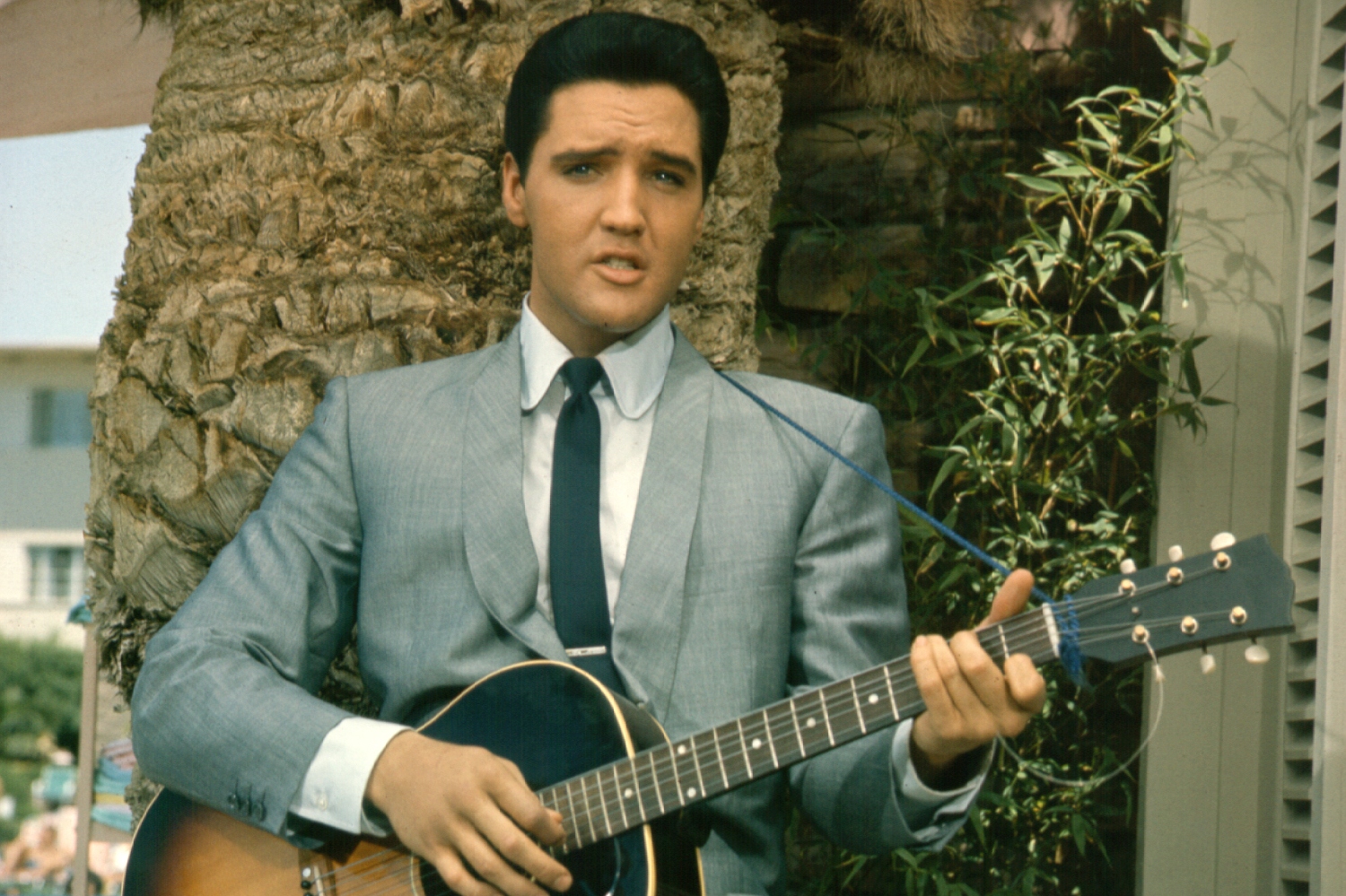 Rock and roll singer Elvis Presley strums his acoutic guitar by a palm tree in circa 1965.